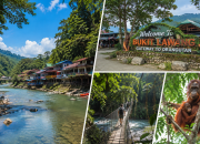 11 Tempat Wisata di Bukit Lawang Terbaru 2026, Alam Liar dan Petualangan Seru